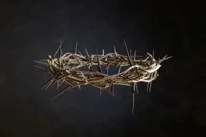 Not the Messiah Expected but the Messiah Needed