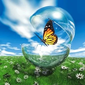 Emerging Butterfly