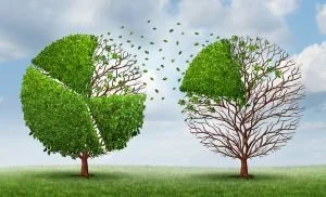 Transferring Into God’s Kingdom