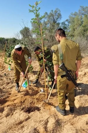 Tu B'Shevat