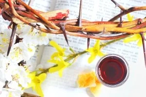 The New Covenant is the Ultimate Inclusion