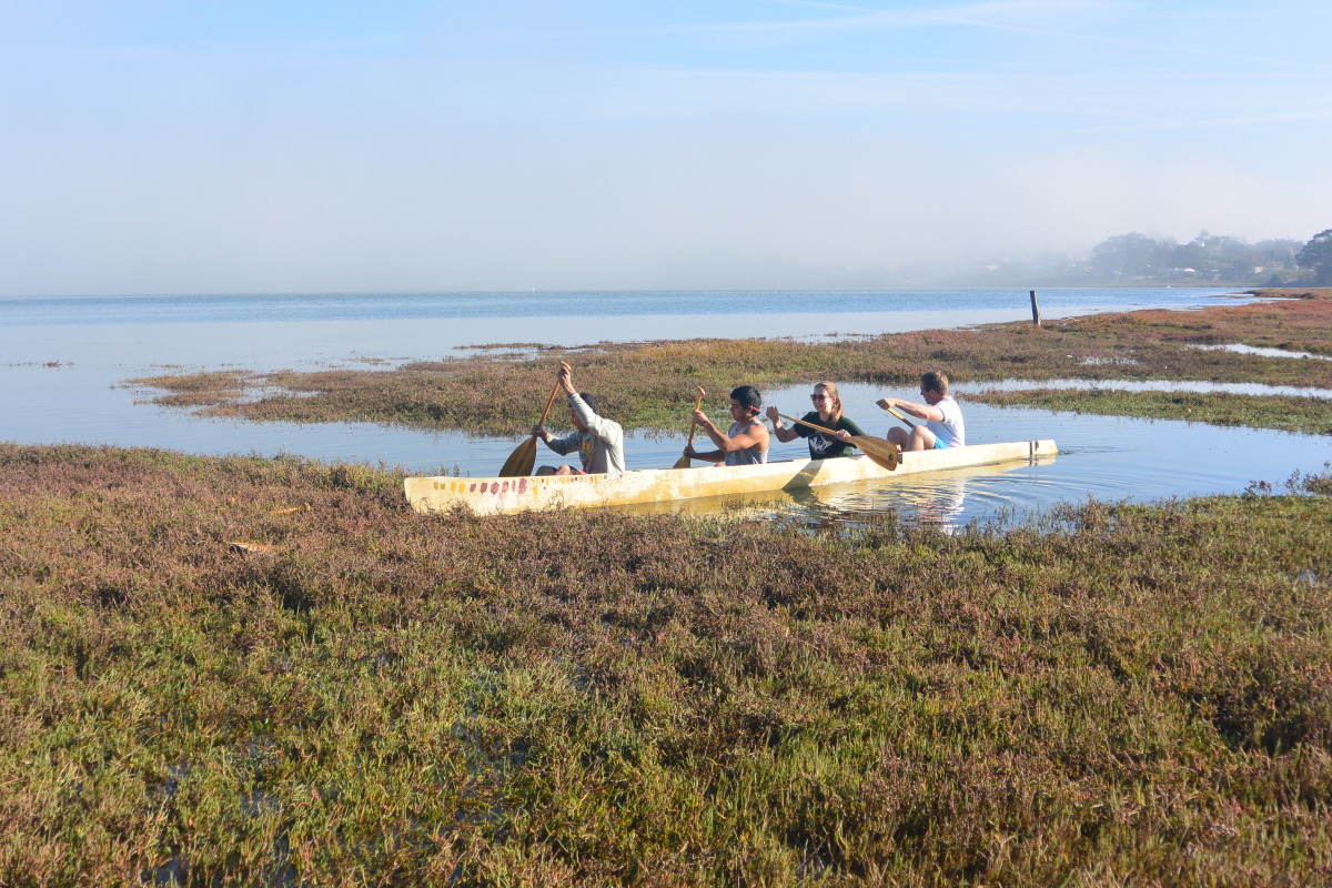 dsc_1564.jpg