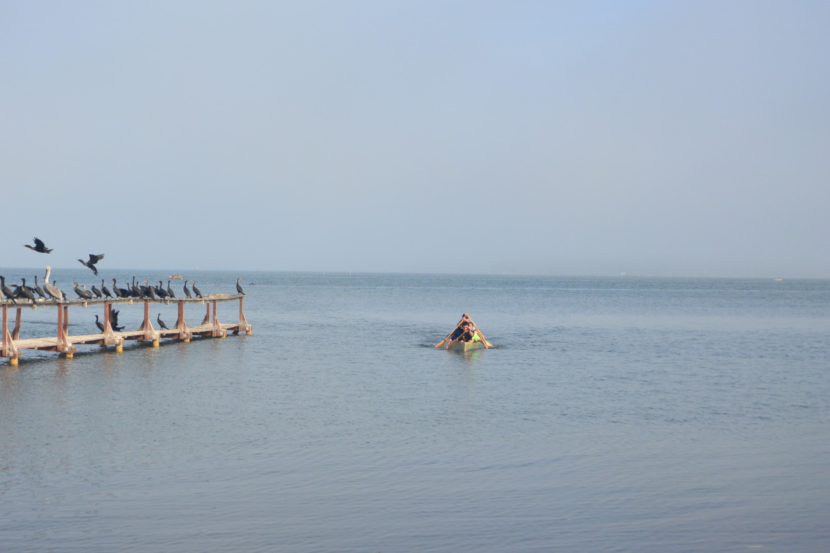 dsc_1566.jpg
