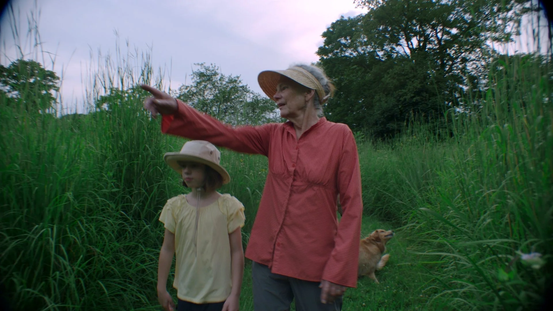 BBCSW AFF Still_03.jpg