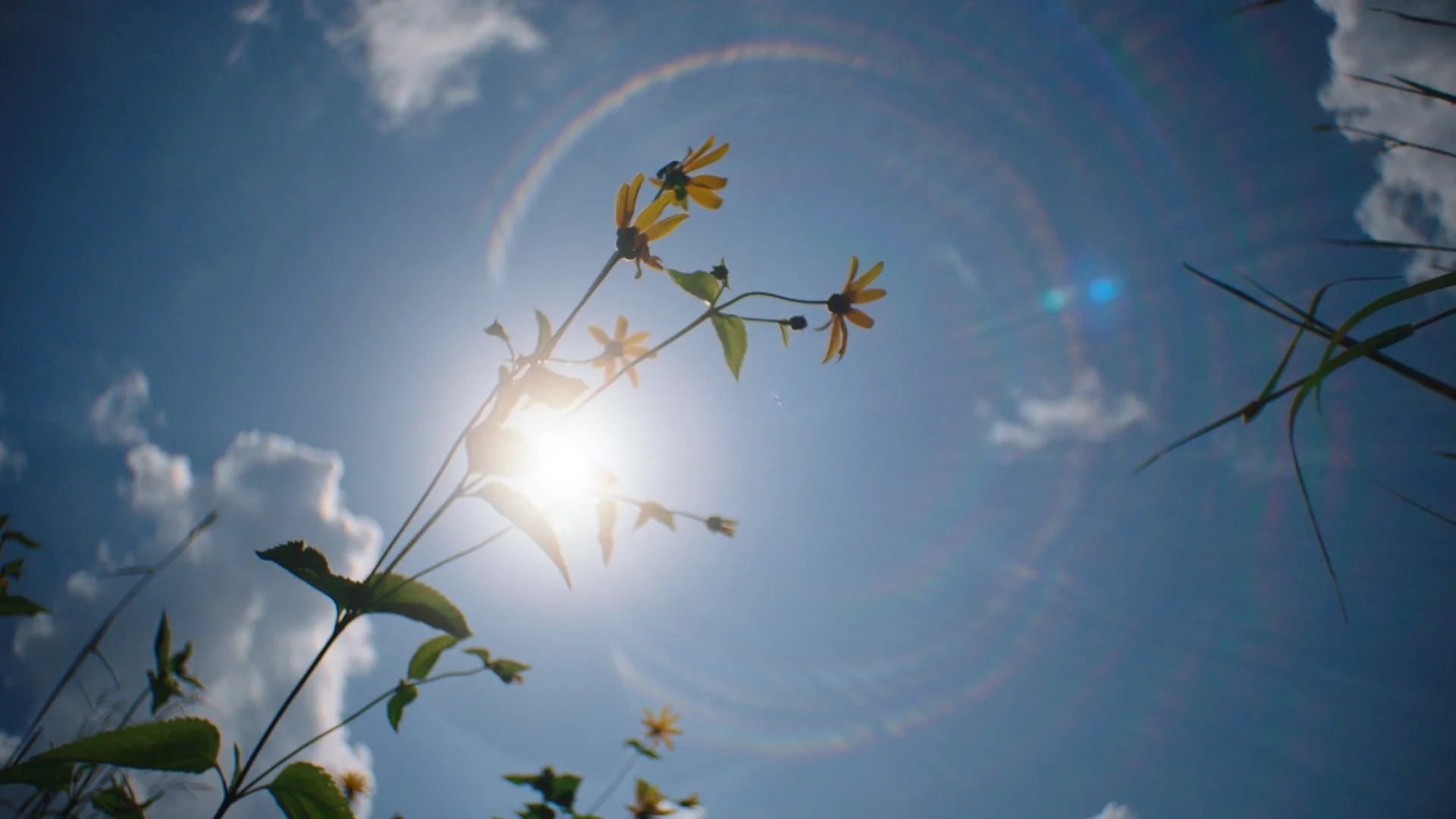 BBCSW AFF Still_05.jpg