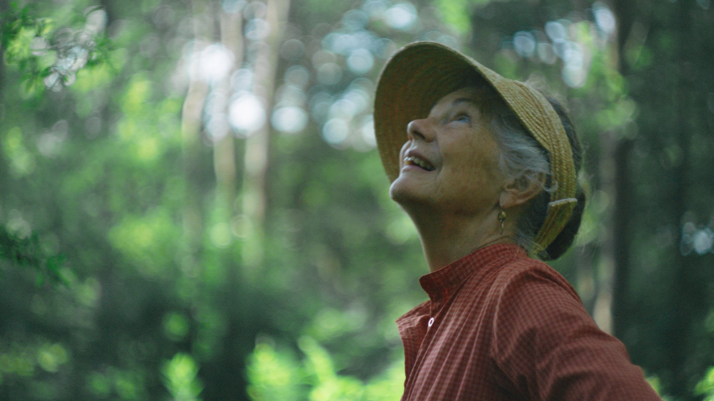 American Forest Foundation | Living Legacy