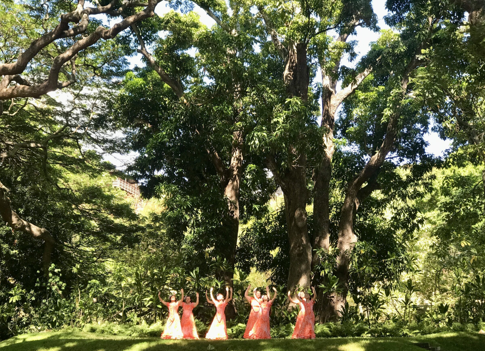 Screen Shot 2021-05-11 at 1.46.02 PM.png