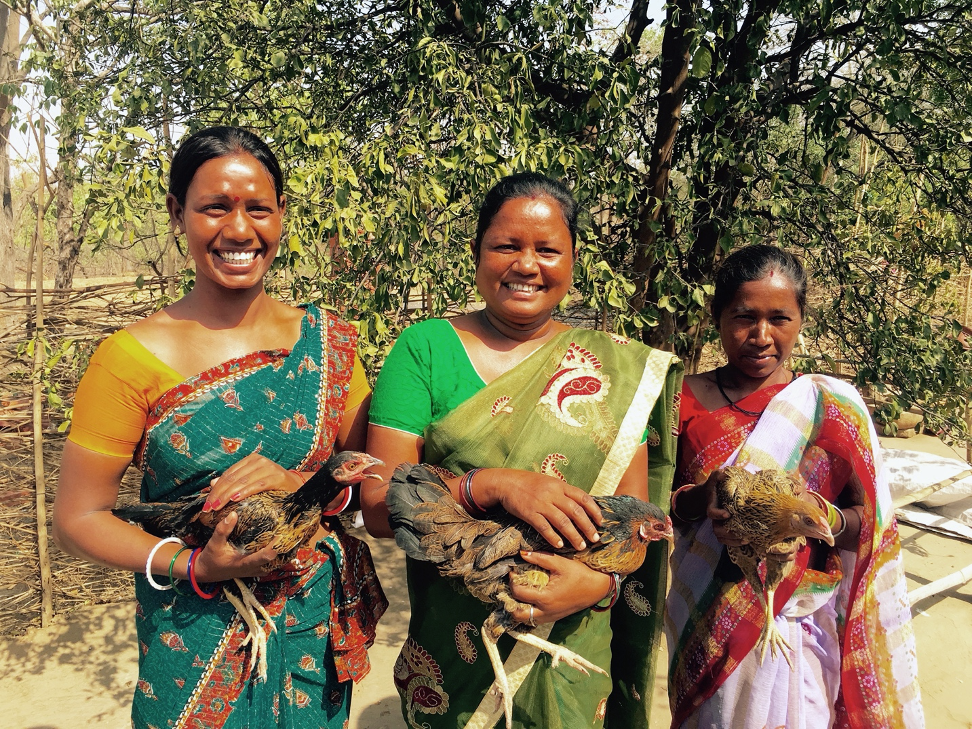 New report shows the impact of COVID-19 on food systems in India