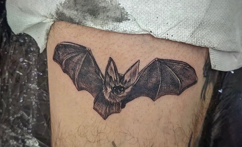 Lil&rsquo; bat by @dahlia.artistry

.
.

#timmytattoo #longisland #longislandtattoo #huntington #huntingtonvillge #oysterbay #northport