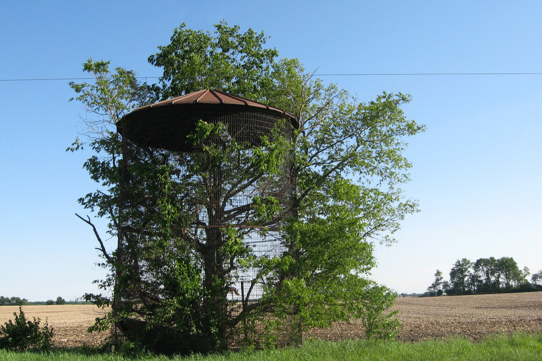 Corn Crib.png