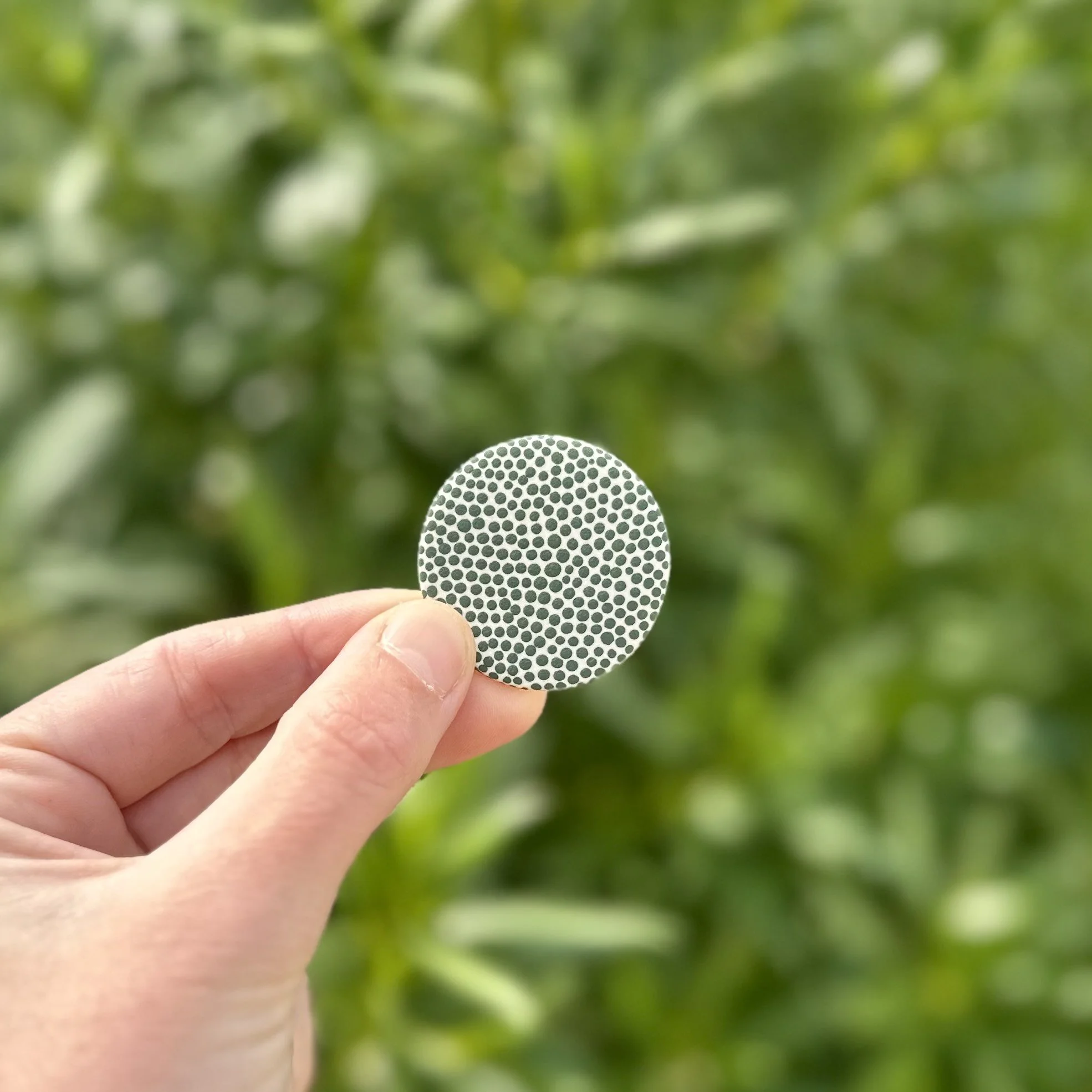 Ceramic Spotty Brooch