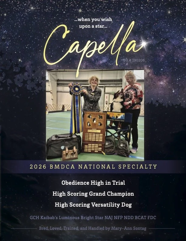 Capella_Summer2026_v3.jpg