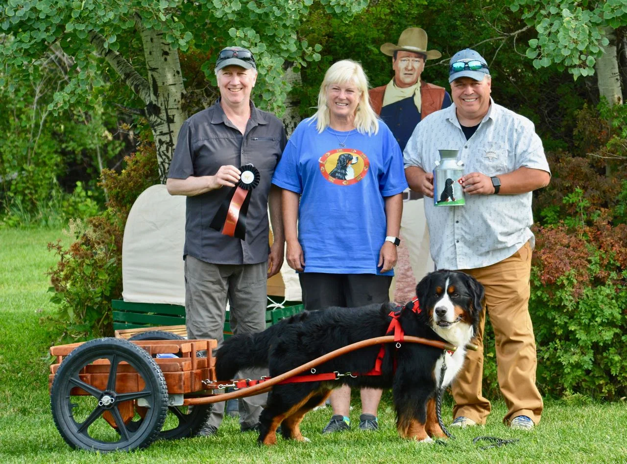 Master Draft Dog and Agility Ace Kidd with his human, Marti. Kidd is from our iPup Litter.