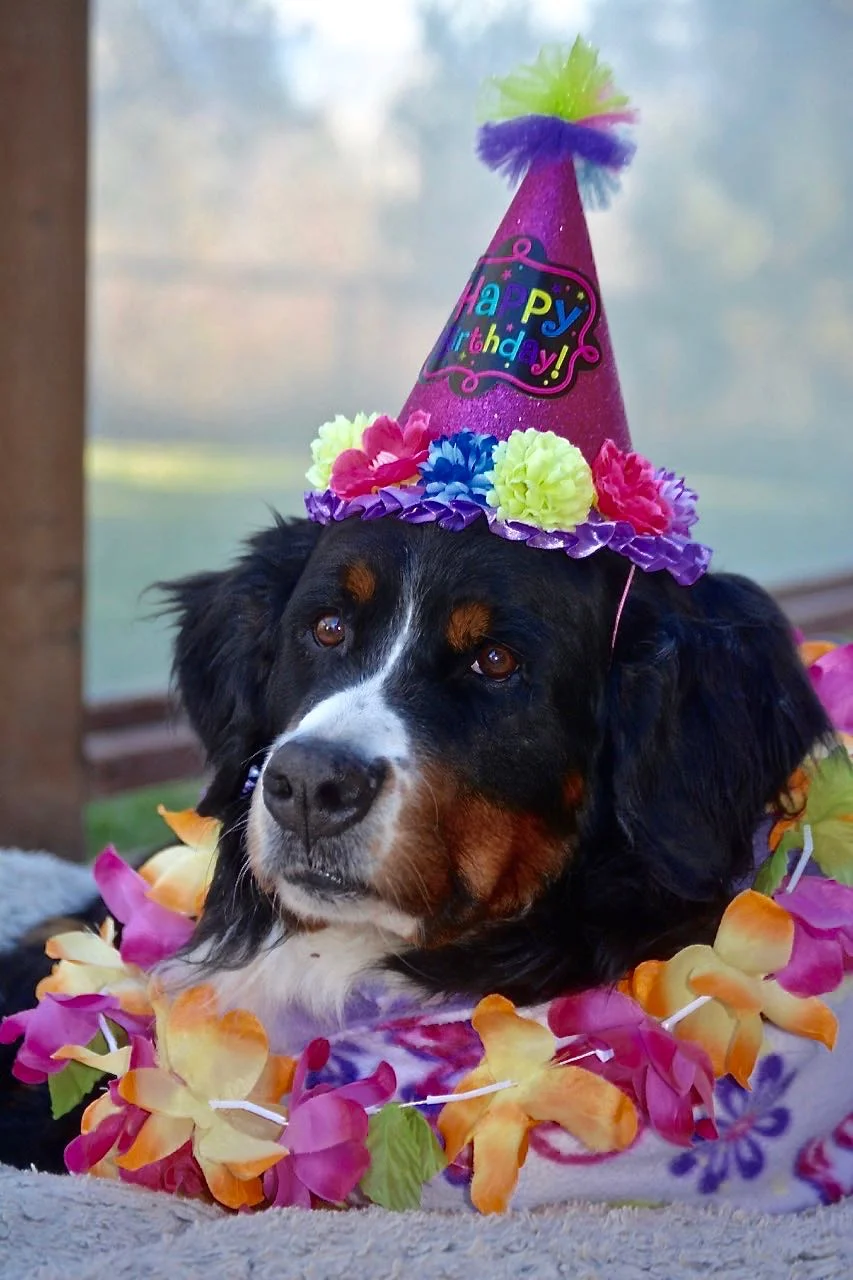 Sydney on the occasion of her eighth birthday.