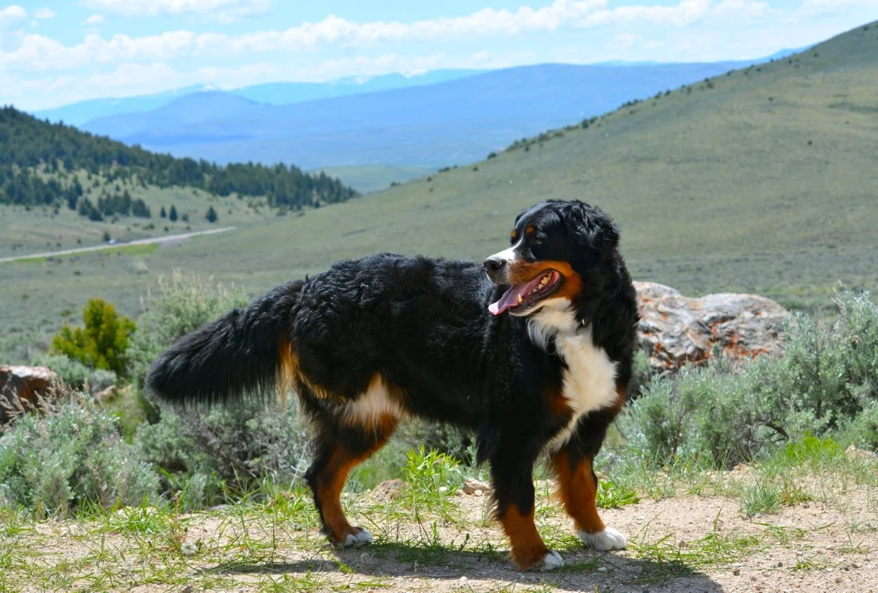 10 Syd standing with a view.jpg