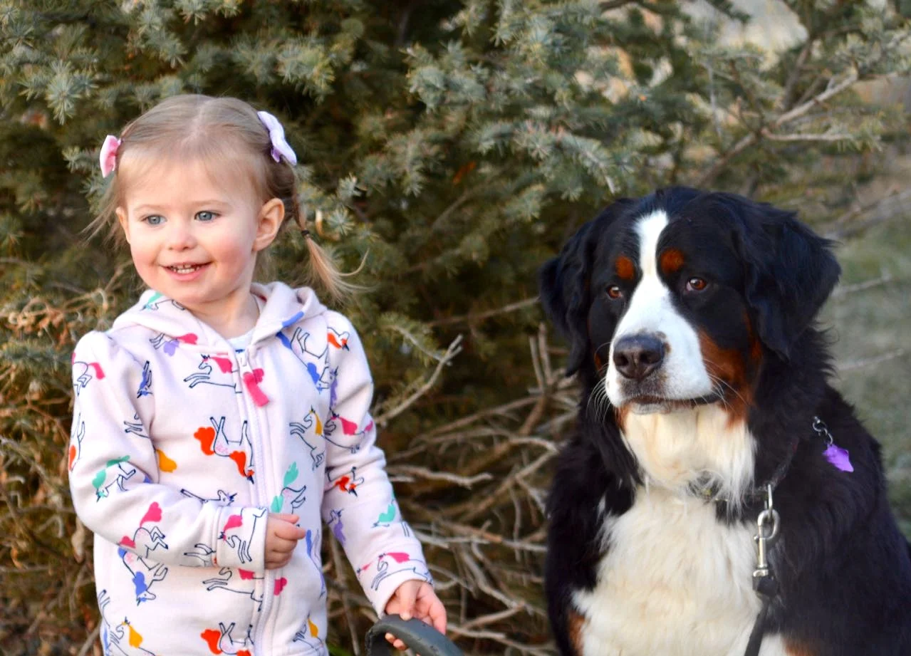 Life with Dogs offers children the opportunity to learn and practice important prosocial skills — and for adults to model those skills.
