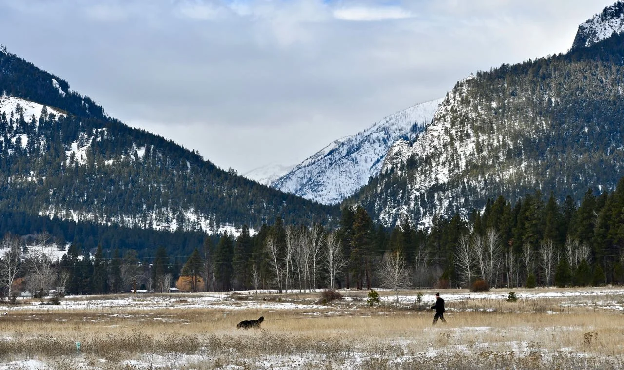 Okay — go ahead and be distracted by the view but then note how it should look when a dog is on track.