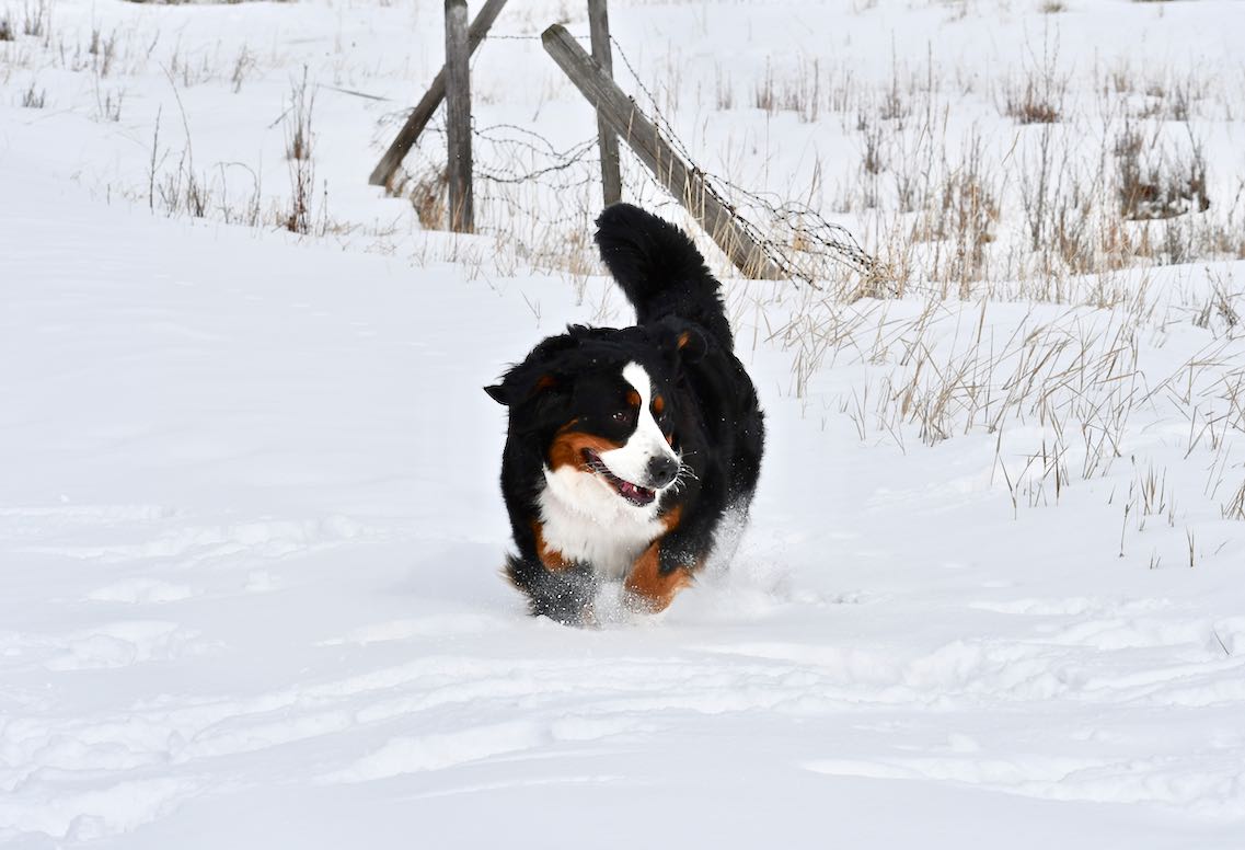 This is Claire — note the snow level!