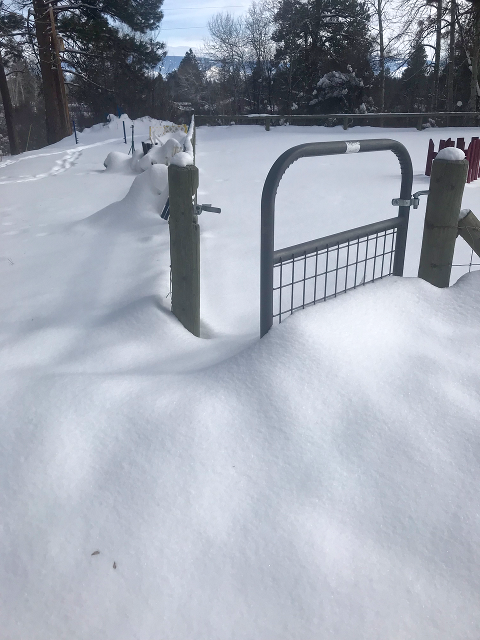 Will it melt by August?
