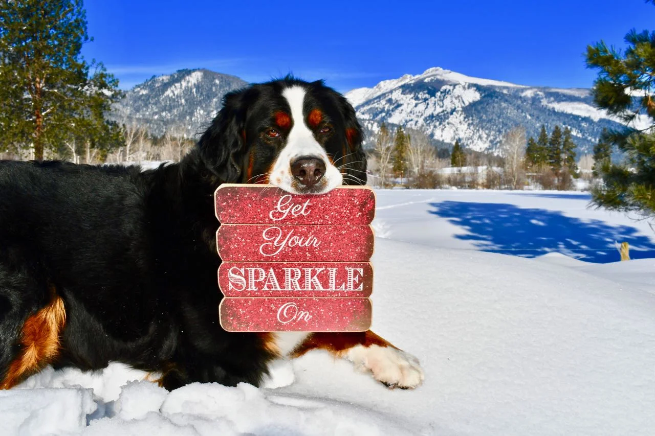 Yes, that is a real backdrop. I took that photo in our yard. #lucky #montanalife