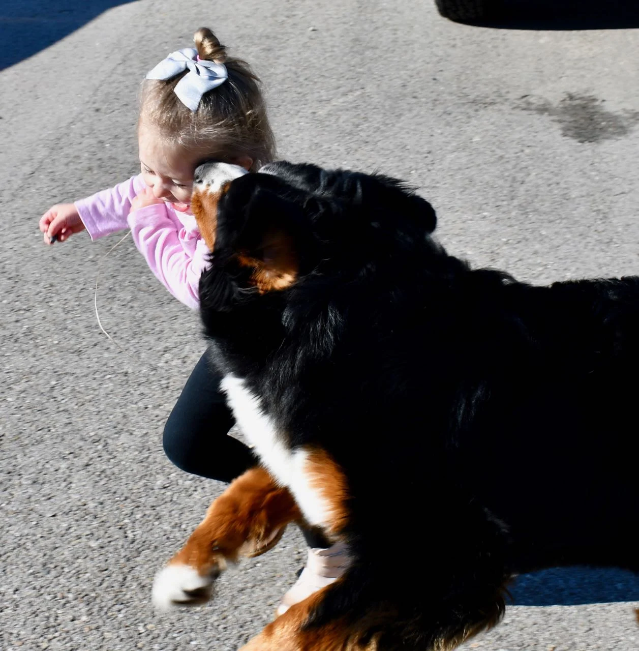 “The dog was created specially for children. He is the god of frolic.” – Henry Ward