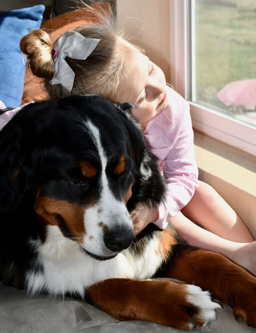 “The gift which I am sending you is called a dog, and is in fact the most precious and valuable possession of mankind” – Theodorus Gaza