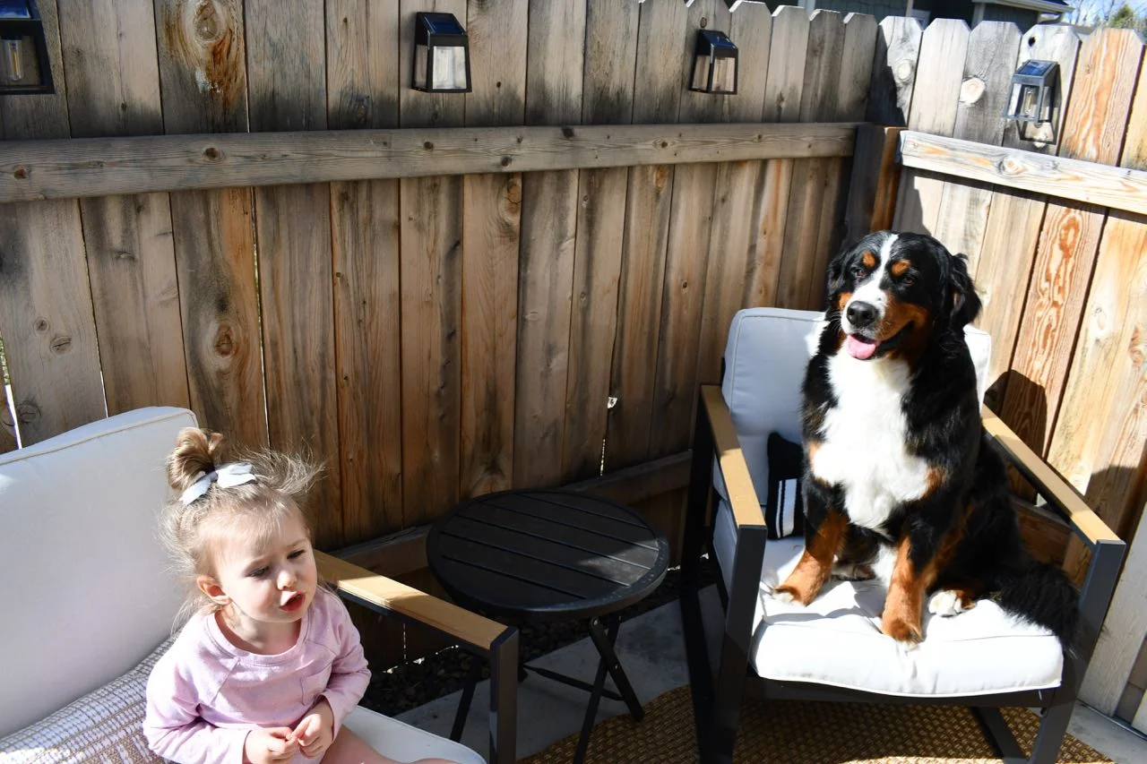 Berkeley and Daisy on porch.jpg