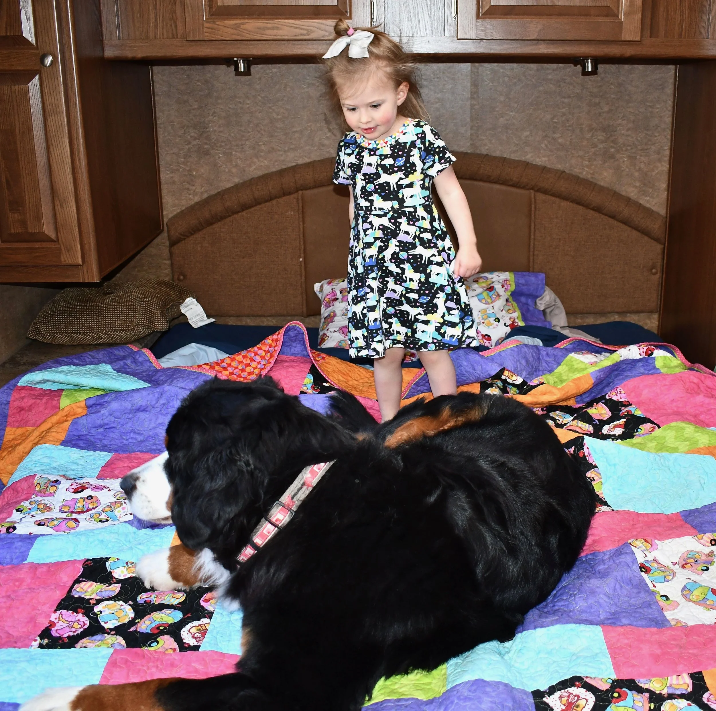 Berkeley and Sparkle on quilt.jpg