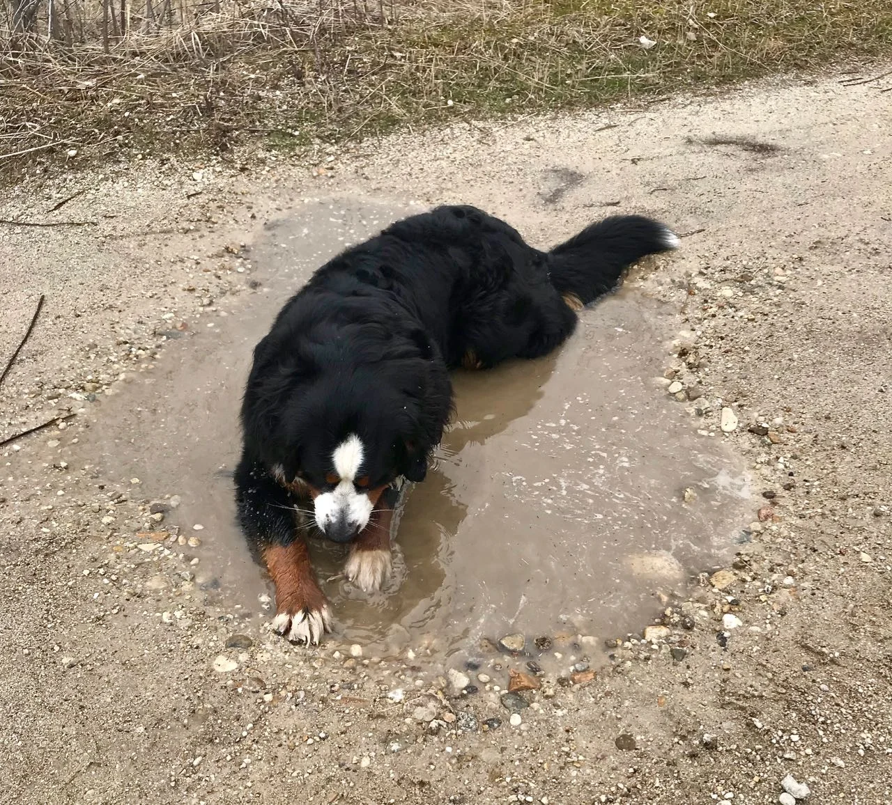Claire says: “Who cares about May flowers when April showers bring giant spa puddles?!”