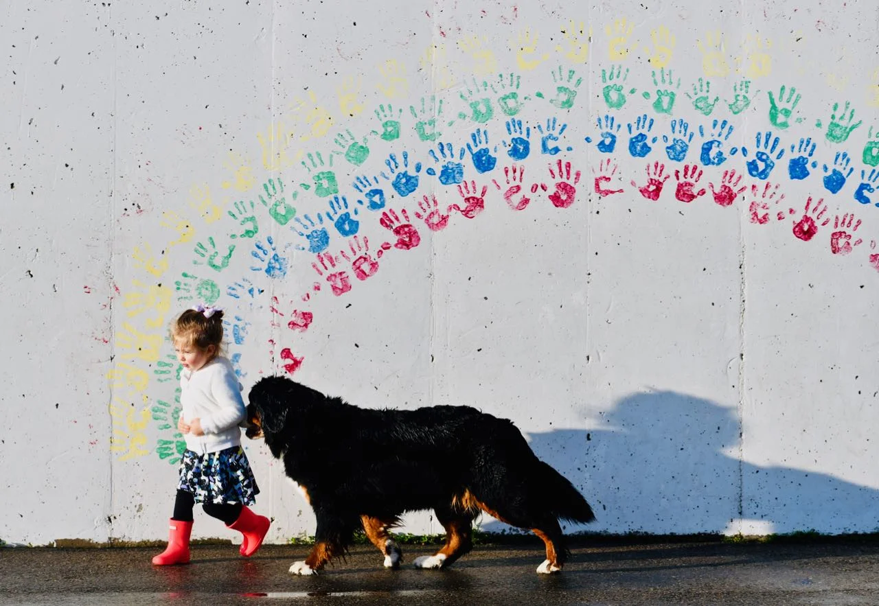Rainbow (1).jpg