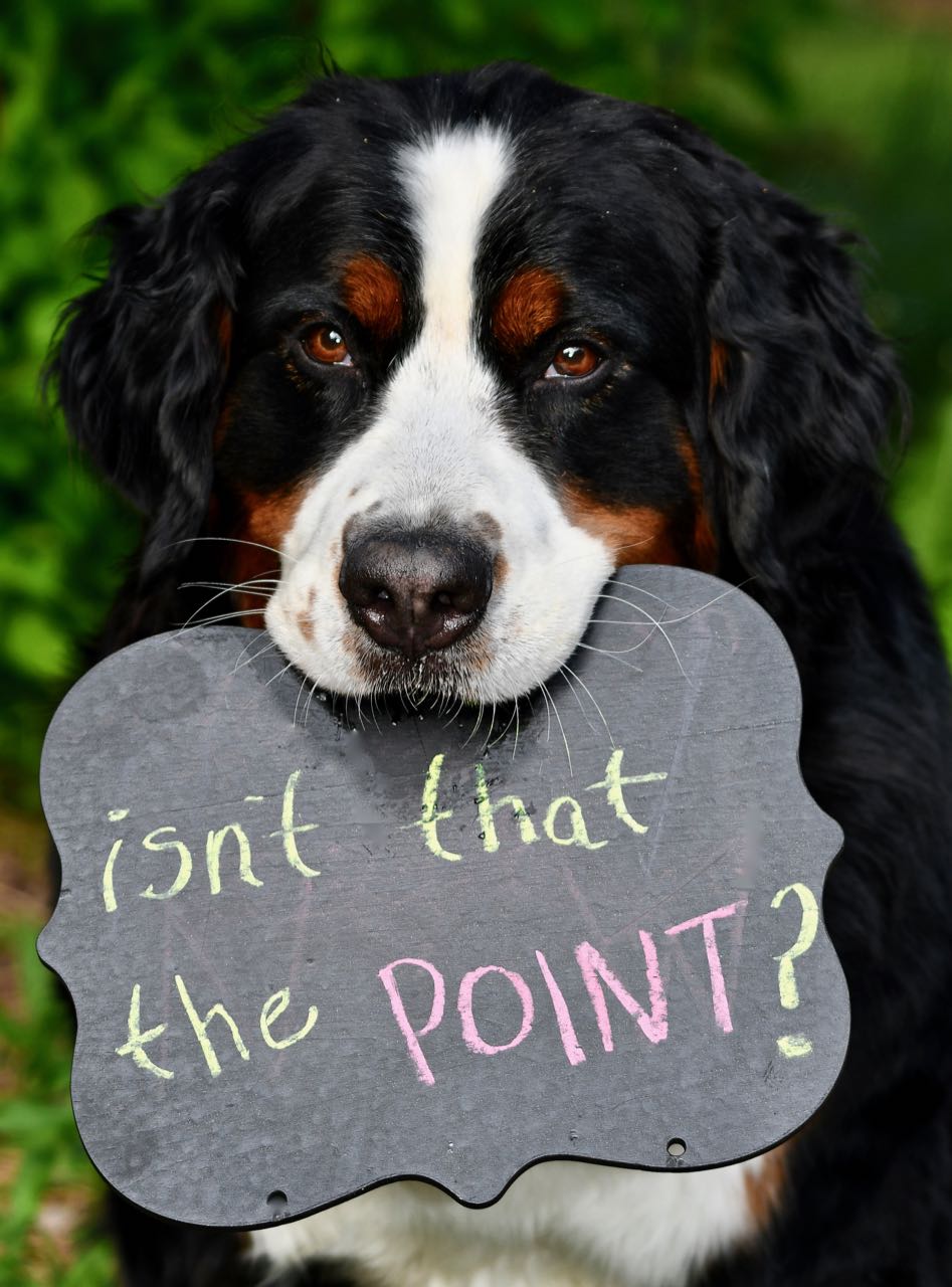 Isn't That the Point.jpg