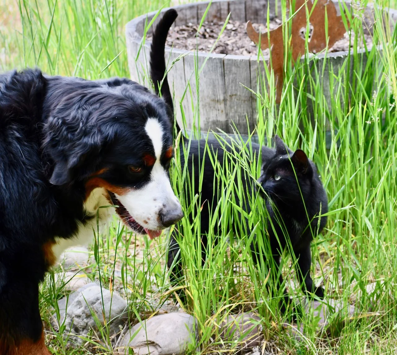 Pete and Sparkle June 2019.jpg