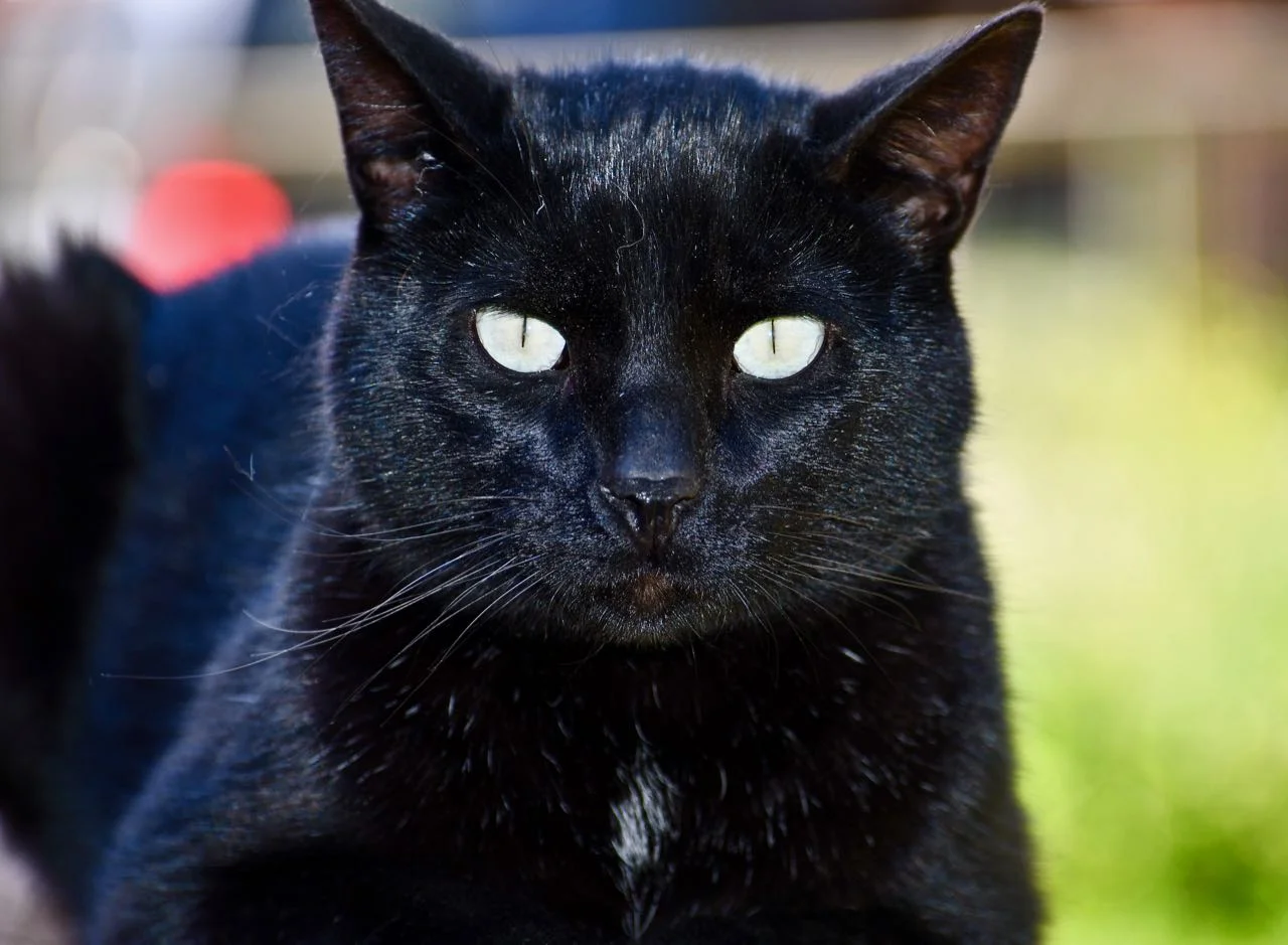 Pete June 2019.jpg