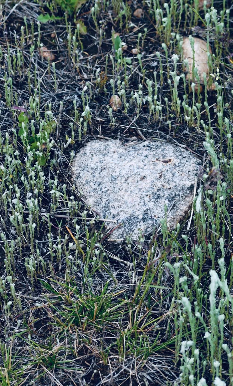 heart rock.jpg