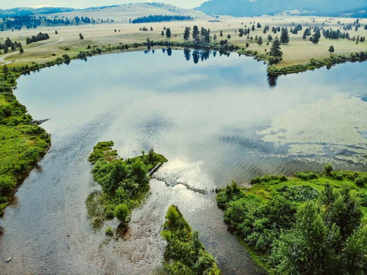 Drone view 3.jpg