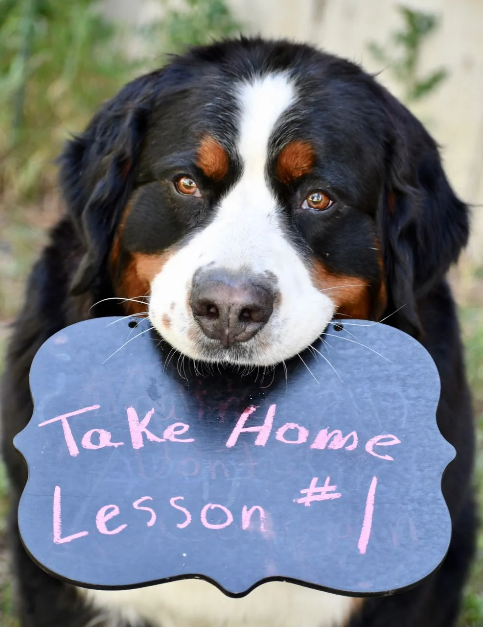 Take Home Lesson #1.jpg
