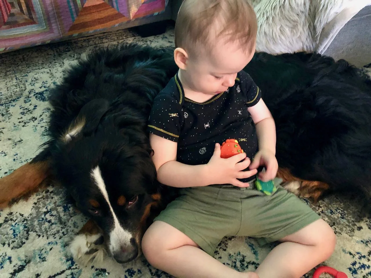 Abbie Aug 2019.jpg