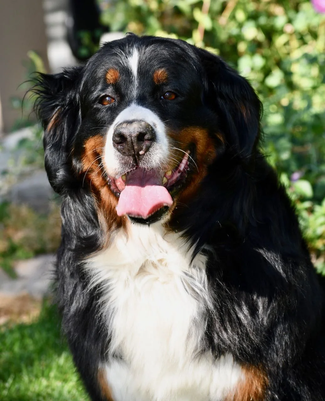 Heidi Sept 1.jpg