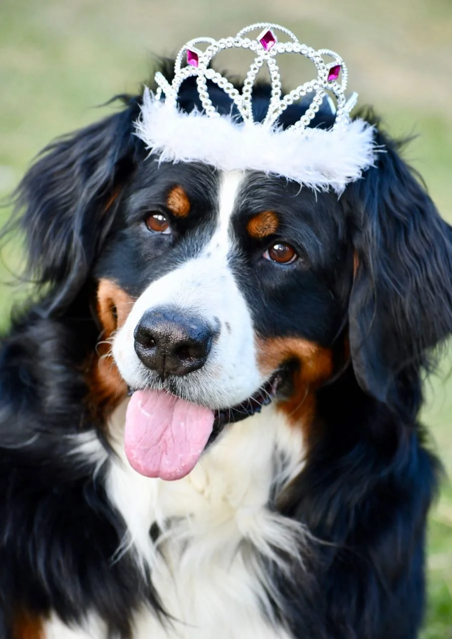 Harper at 8.jpg