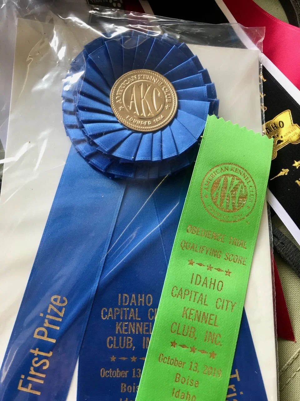 First place.jpg