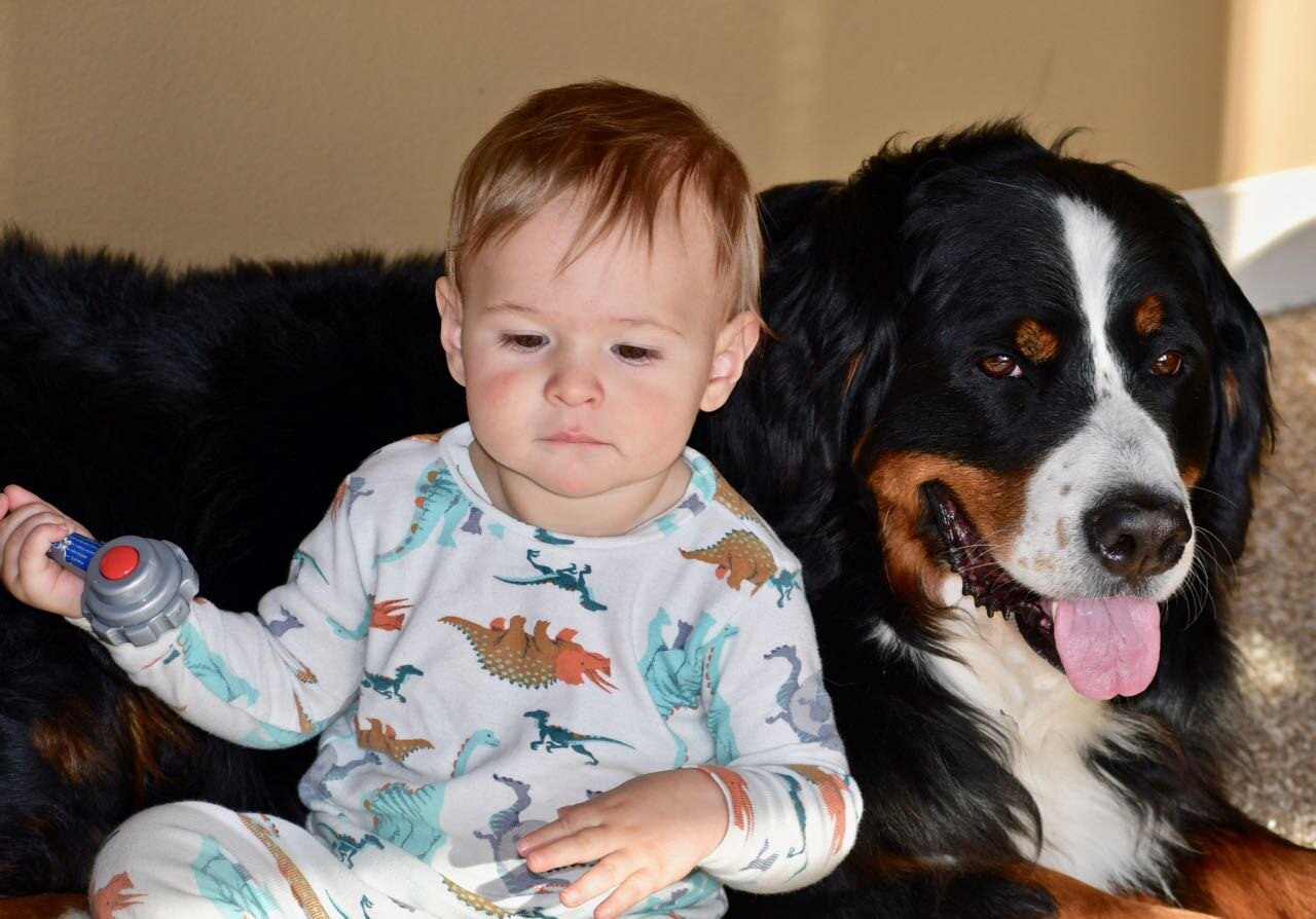 Harper and Link.jpg