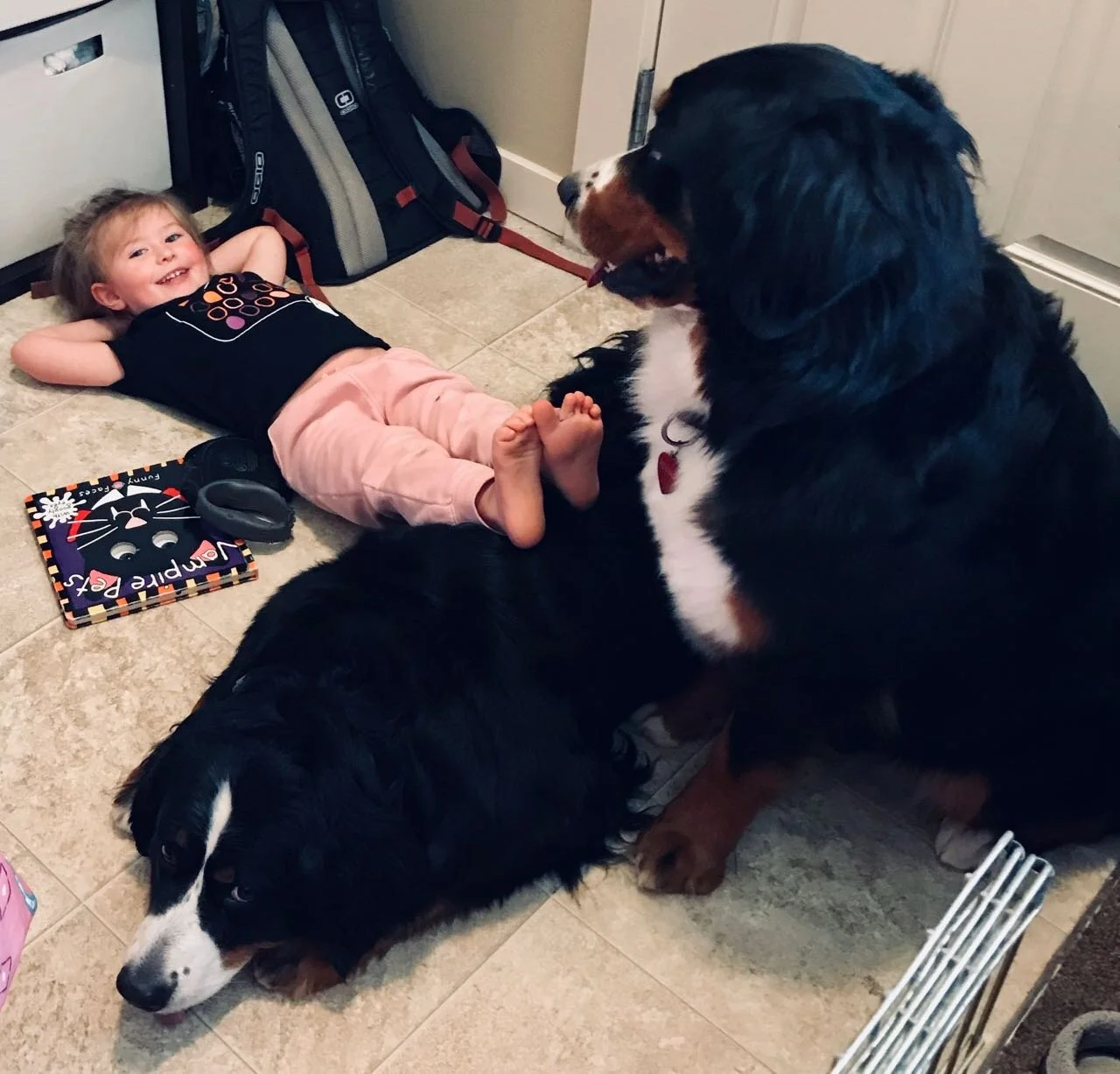 Dogs are free to remove themselves from children’s attention at any time. Harper B for Being Patient.
