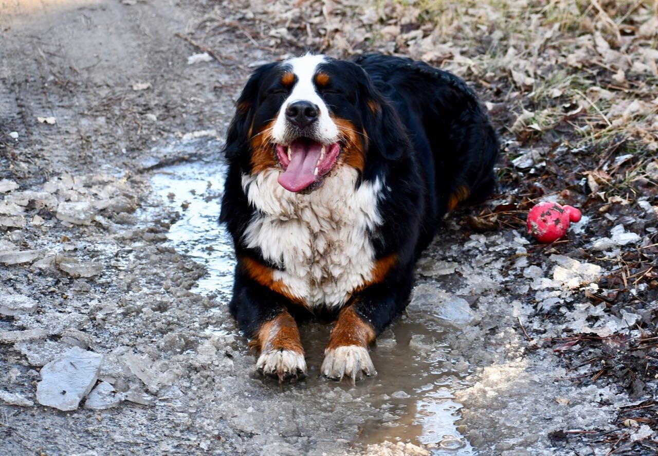 Claire in mud Dec 2019.jpg