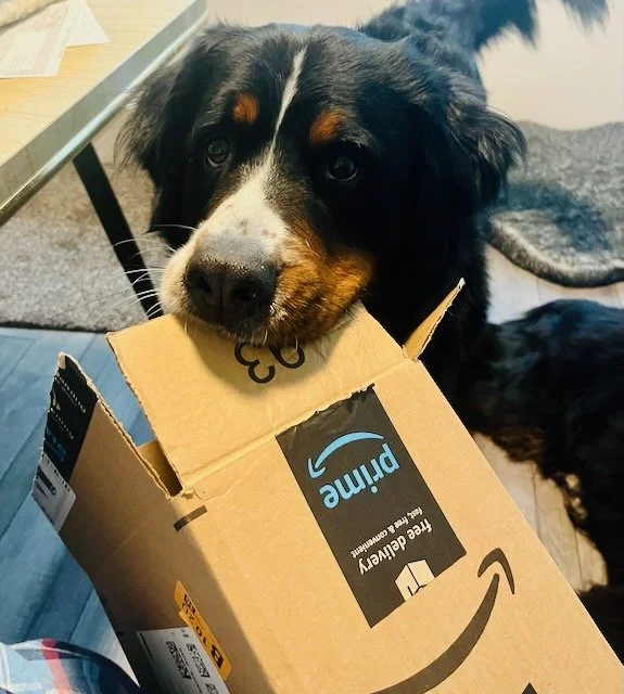 Pozy Amazon Box.jpeg