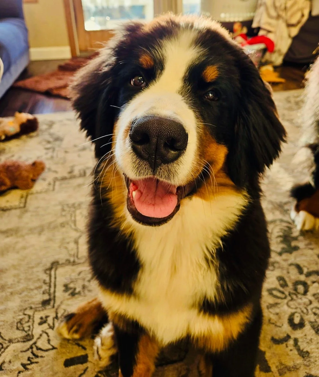 Han November 2025.jpeg