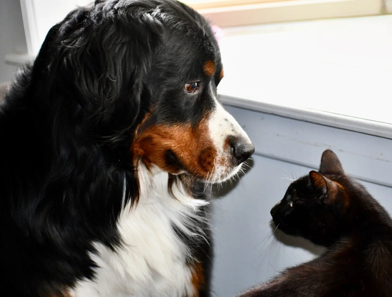Pozy and Pete.jpeg