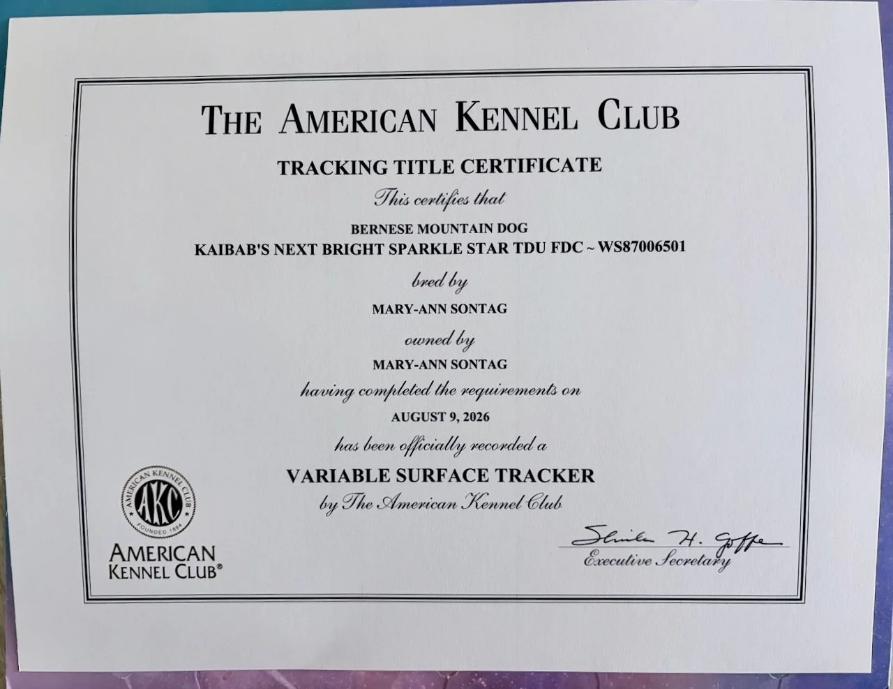 VST Certificate.jpeg
