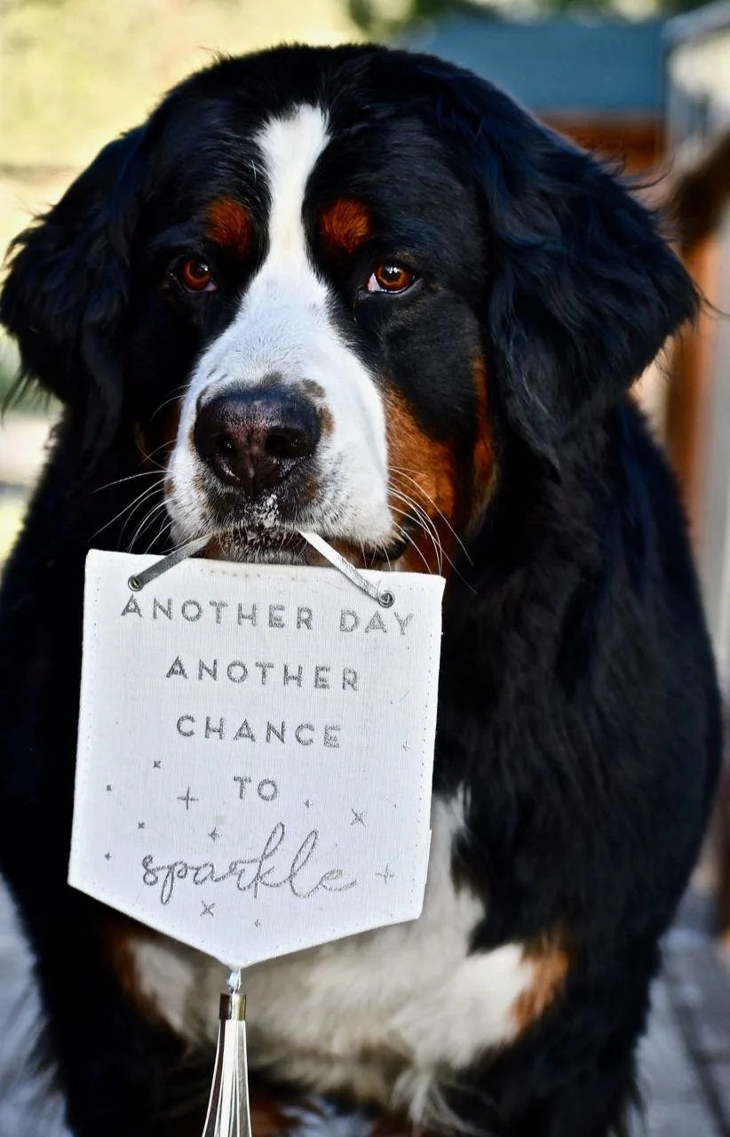 Another Chance to Sparkle (1).jpg