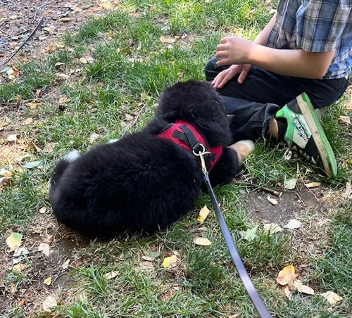 image2 (12).jpeg