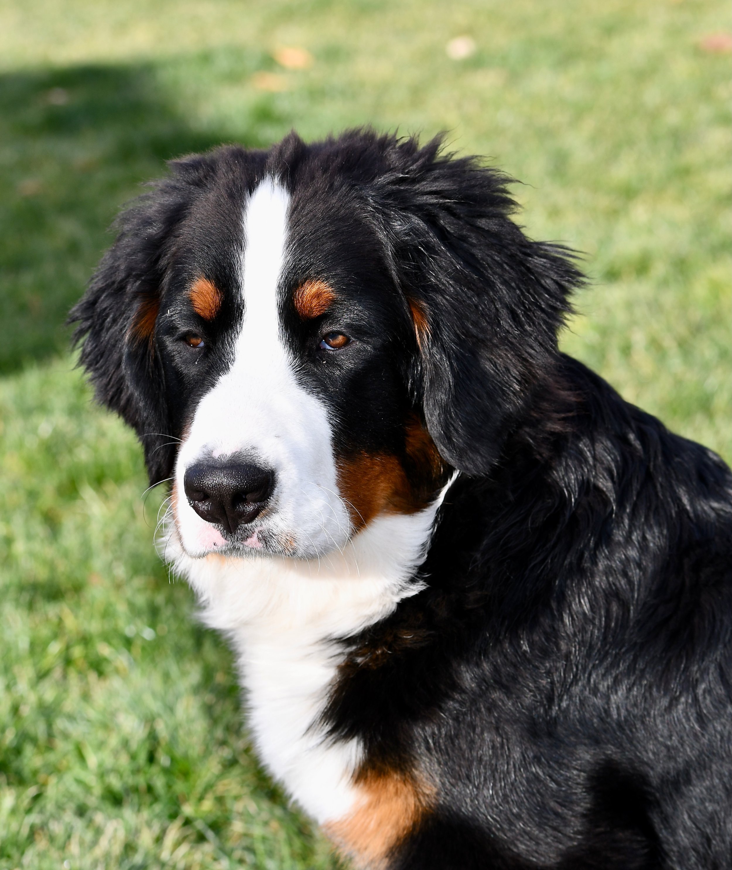 Starry close November 29.jpeg